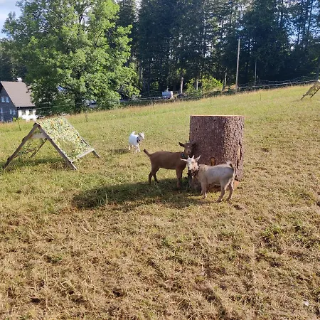 Haus Schwarzwalder Adler Lägenhet