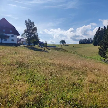 Lägenhet Haus Schwarzwalder Adler Neukirch (Black Forest)