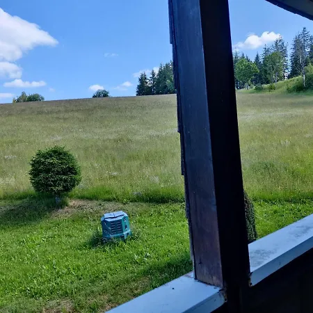 Haus Schwarzwalder Adler Lägenhet