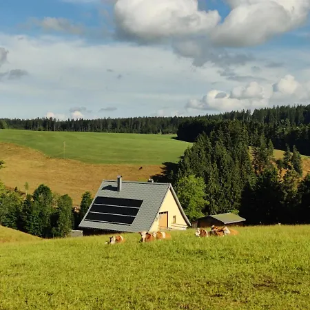 Lägenhet Haus Schwarzwalder Adler