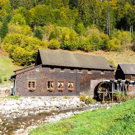 Lägenhet Haus Schwarzwalder Adler