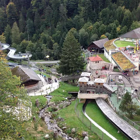Lägenhet Haus Schwarzwalder Adler Neukirch (Black Forest)